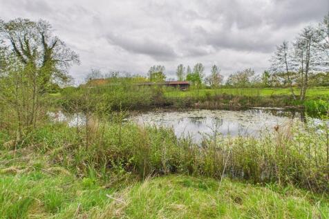 Wildlife Pond