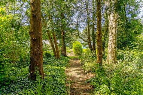 Woodland