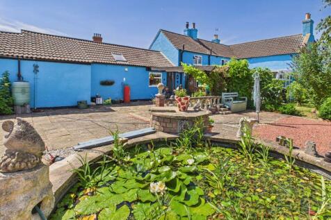 Garden/Pond