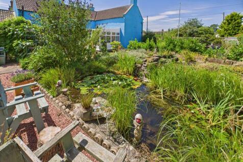 Garden/Pond