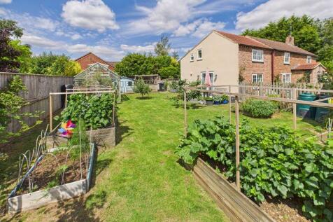 Side Garden