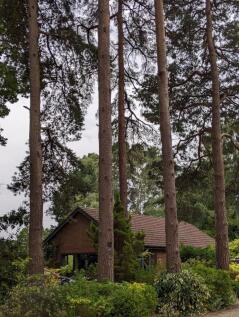 Woodland Setting