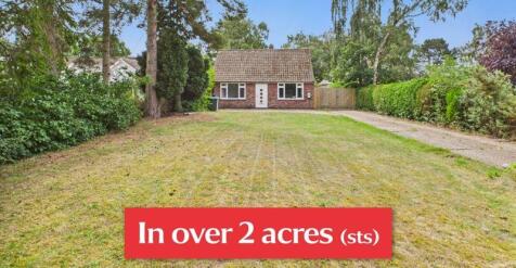In Over 2 Acres (sts)