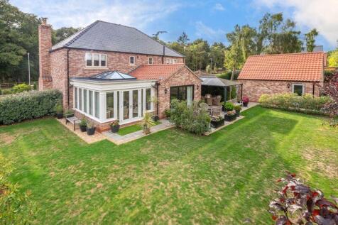 Rear of Property