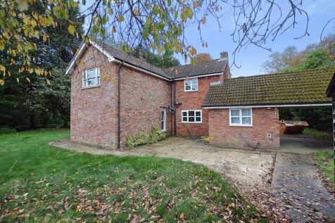 Rear of Property