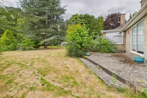 Rear of Property