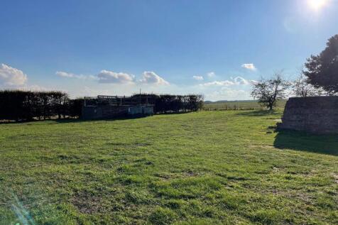 Garden &amp; Viewing Platform