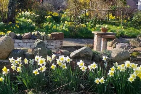 Gardens/Grounds