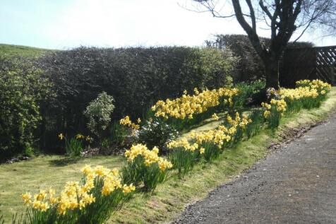 Gardens/Grounds