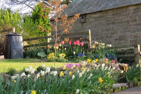 Property Image 32