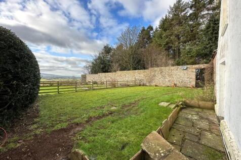 External - Rear Garden