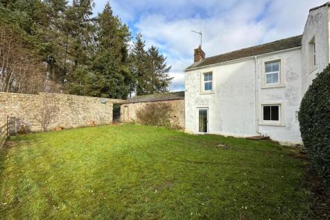 External - Rear Garden