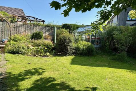 new garden 2.jpg