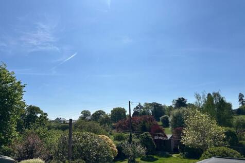 BackGardenView.jpg