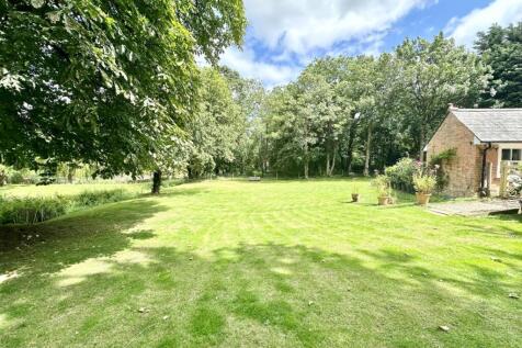 Garden1.jpg