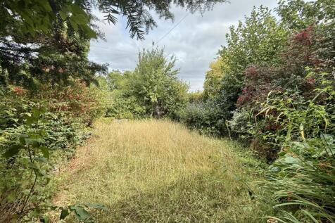 Garden.jpg