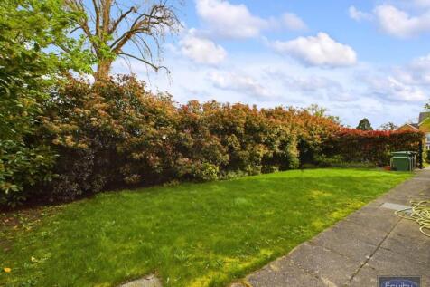 Garden (2)