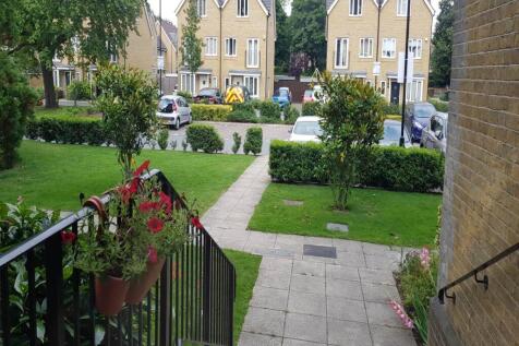 Front garden 2