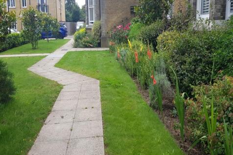 Front garden 3