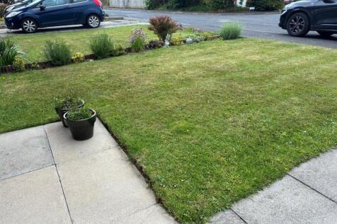 Front garden.jpg