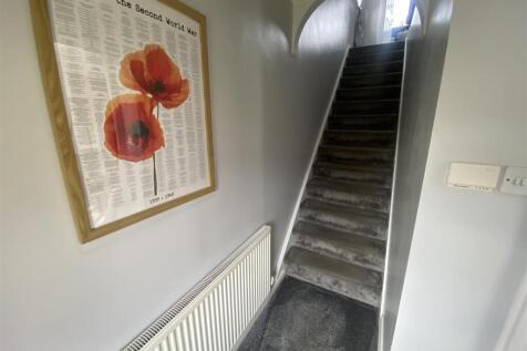 IMG_1732.jpeg