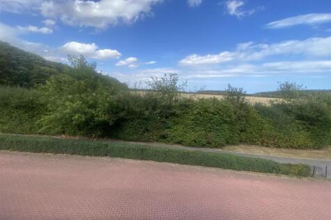 IMG_3923.jpeg