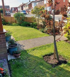 Property Image 28
