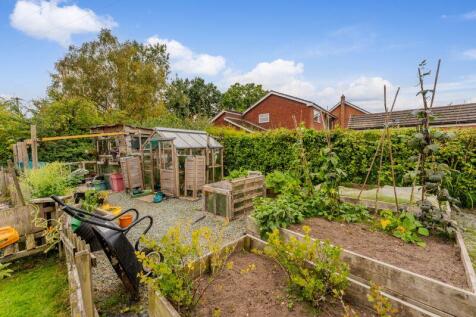 Veggie Plot
