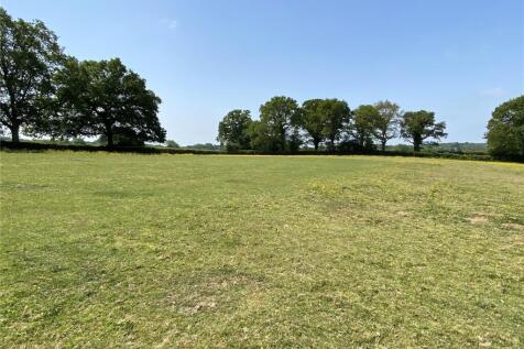 Field