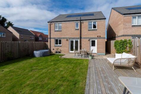 Back Garden