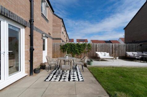 Back Garden