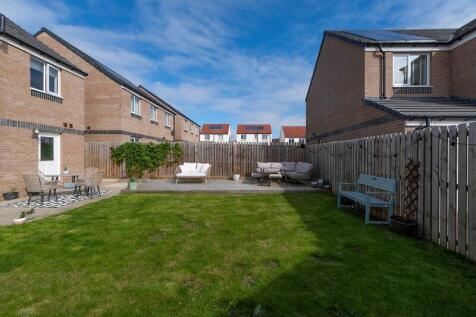 Back Garden