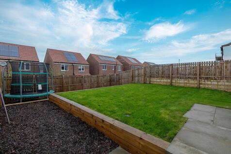 Back Garden