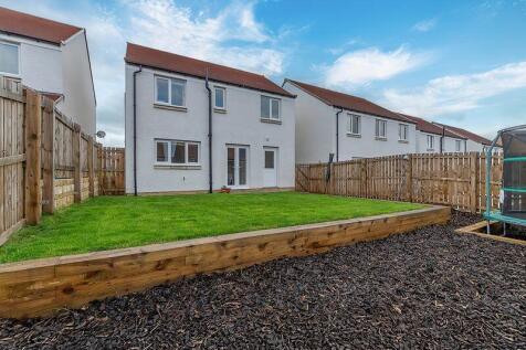 Back Garden
