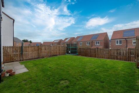 Back Garden