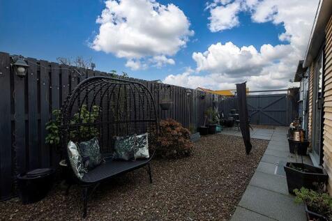 Back Garden