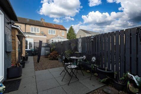 Back Garden