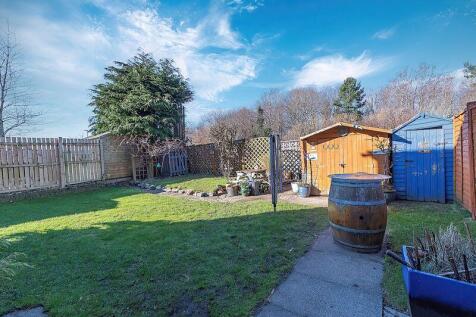 Back Garden