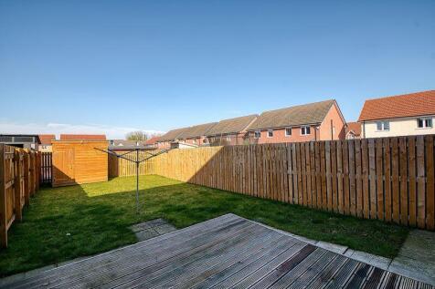 Back Garden