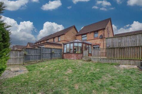 Back Garden