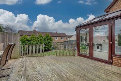 Back Garden