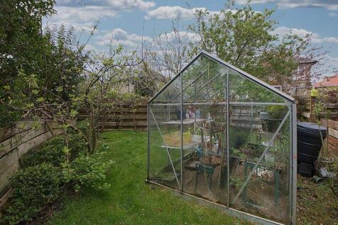 Back Garden