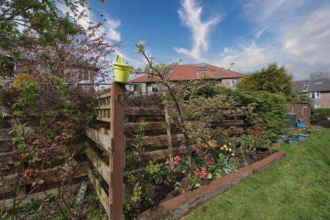 Back Garden