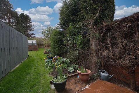 Back Garden