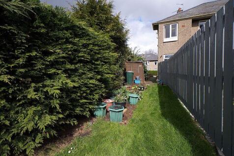 Back Garden