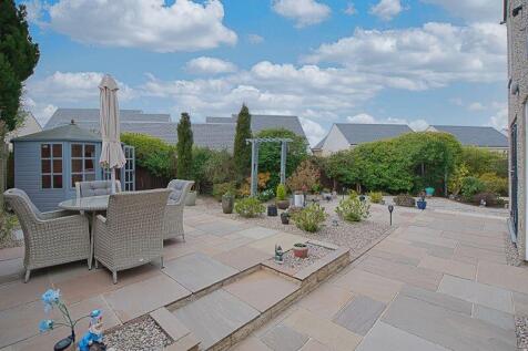 Back Garden