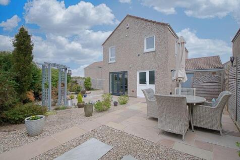 Back Garden
