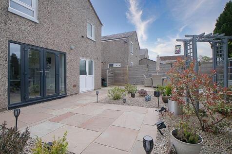 Back Garden