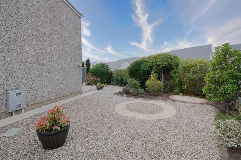 Back Garden