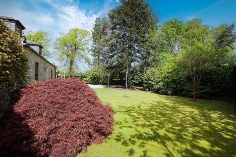 Back Garden